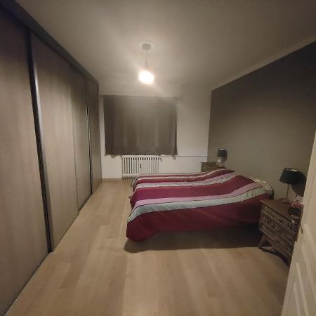 Tres Grand Appartement De 76M2 A 스트라스부르 외부 사진