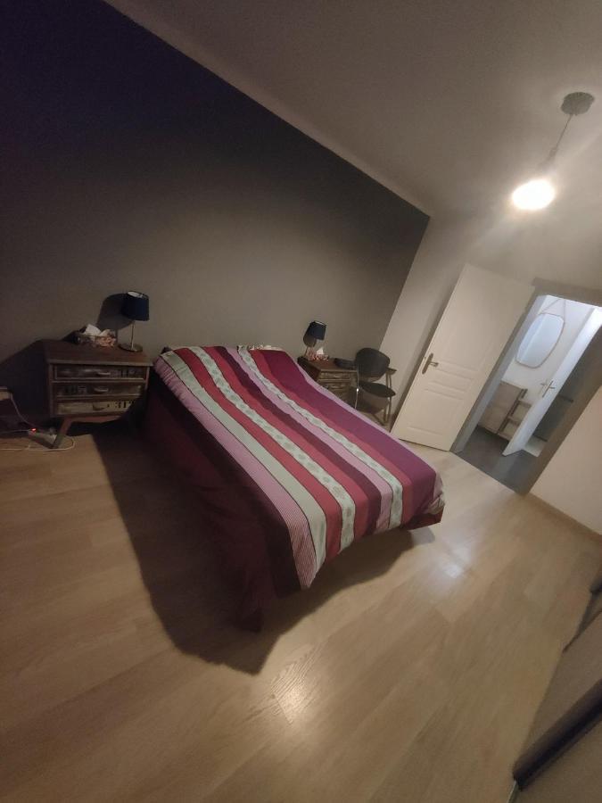 Tres Grand Appartement De 76M2 A 스트라스부르 외부 사진